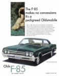 Oldsmobile 1965 25-12.jpg